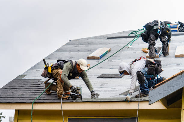 Professional Gutter Installation technician working in Lane City, TX
